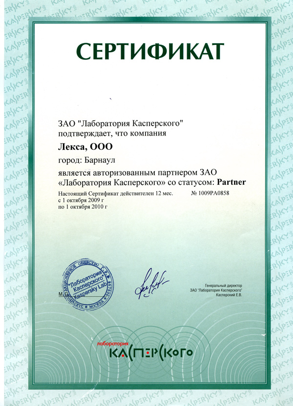 Kaspersky Partner 2010
